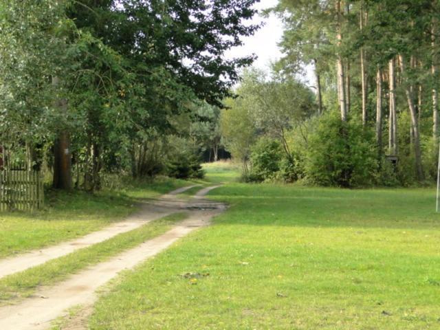 Agroturystyka Nad Jeziorem Sopien Brzozie Екстер'єр фото