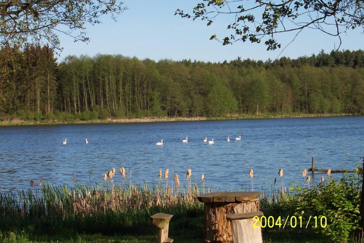 Agroturystyka Nad Jeziorem Sopien Brzozie Екстер'єр фото